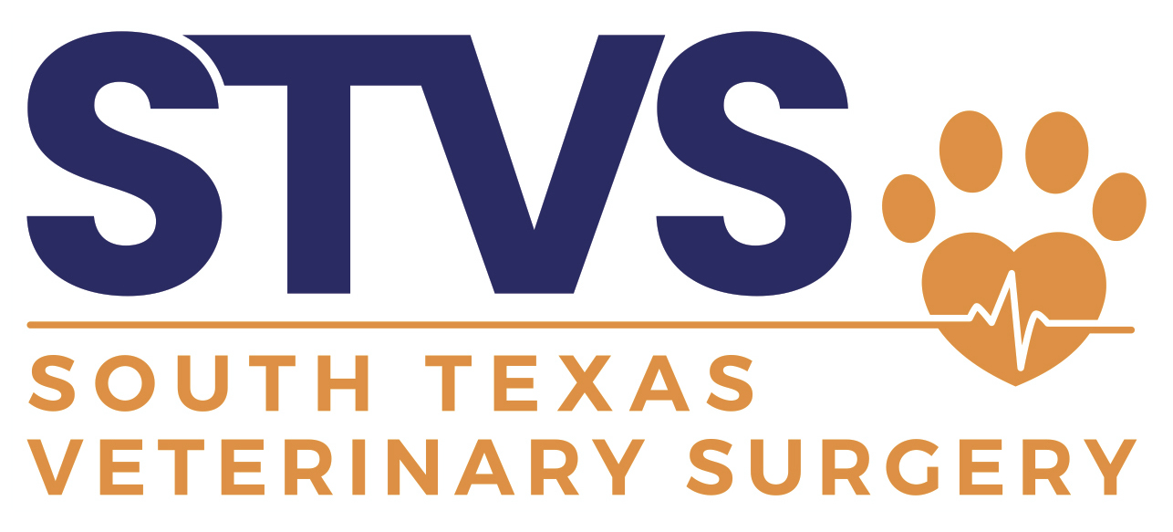 South Texas Veterinary Surgery